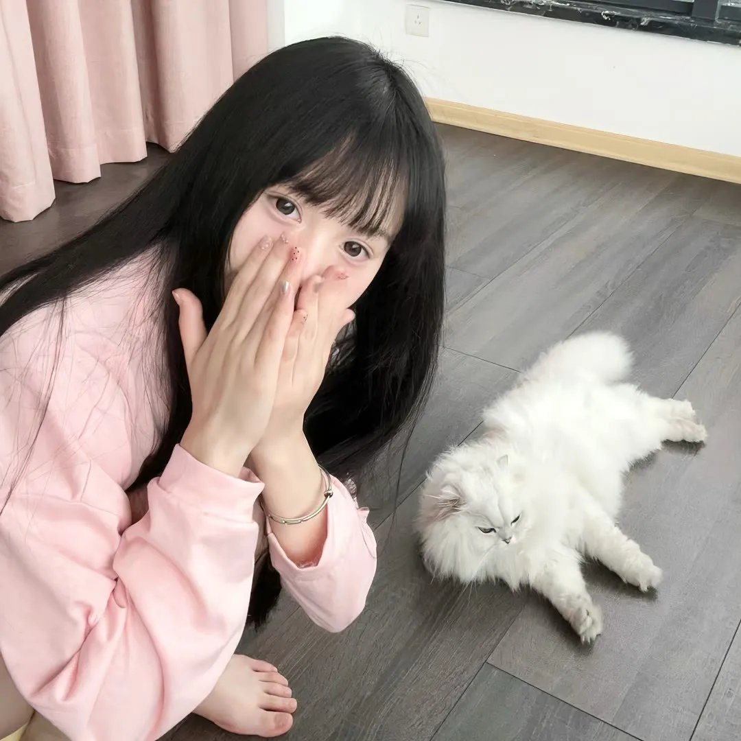 女王蜂游戏